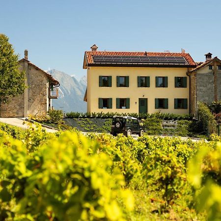 B&B Le Zucche Μπελούνο Εξωτερικό φωτογραφία